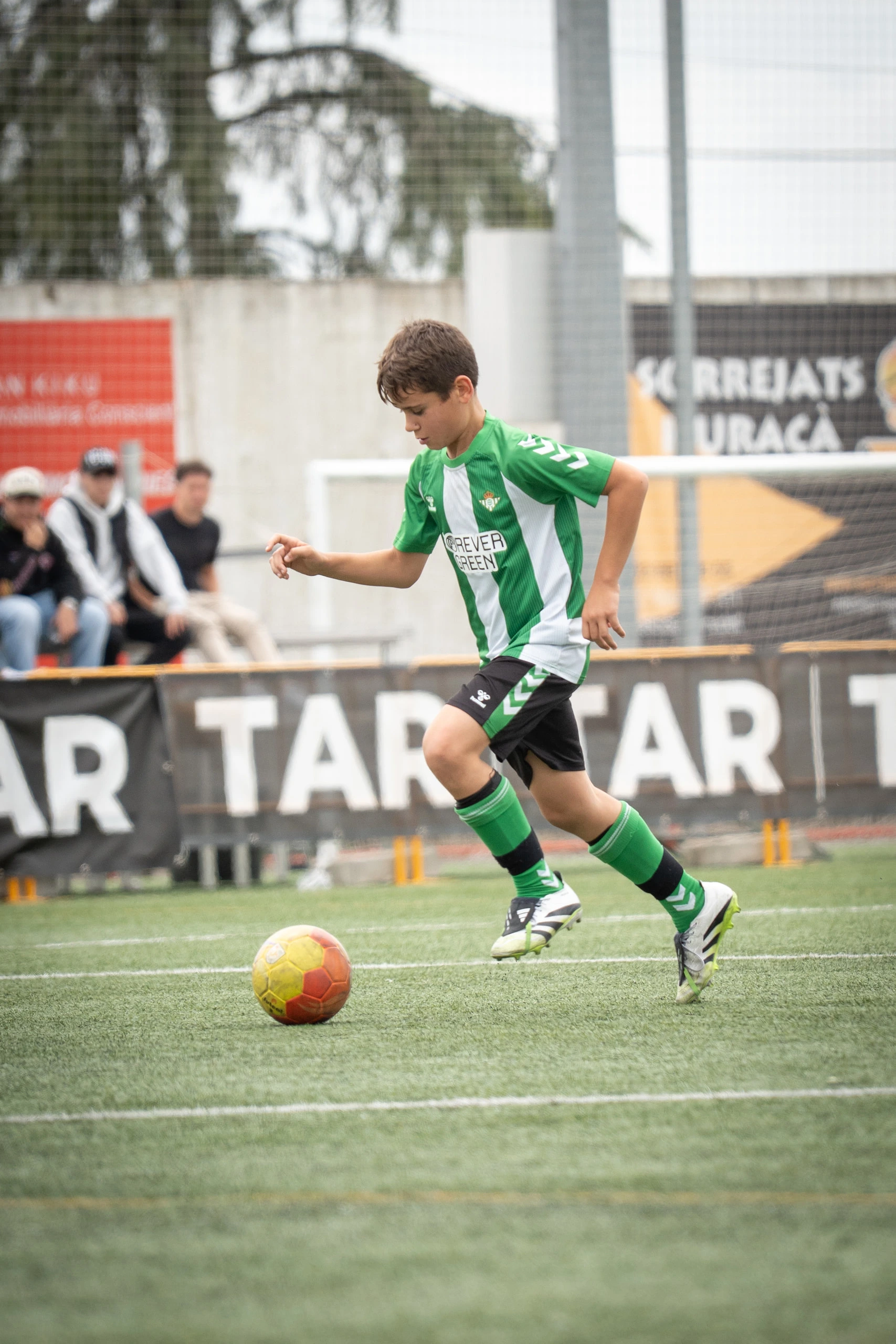 Tar Cup — foto 8